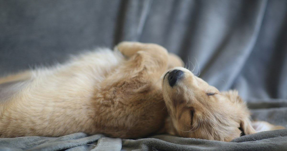 リラックスした睡眠のイメージ