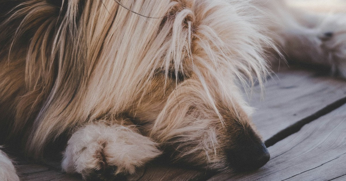 リラックスした睡眠