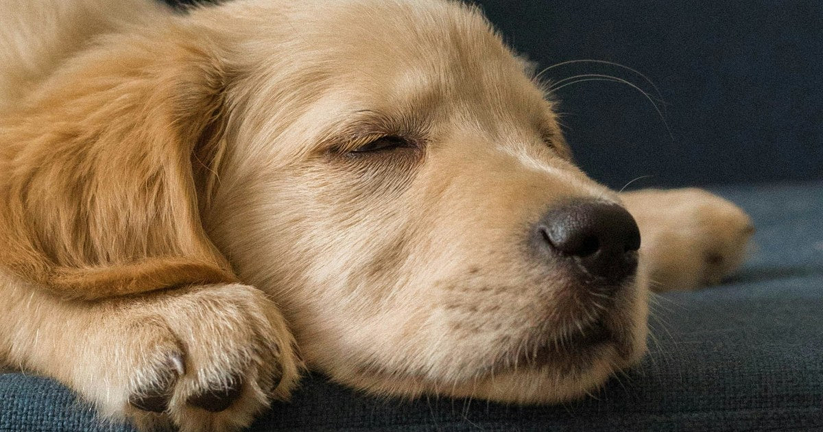 快適な睡眠のイメージ